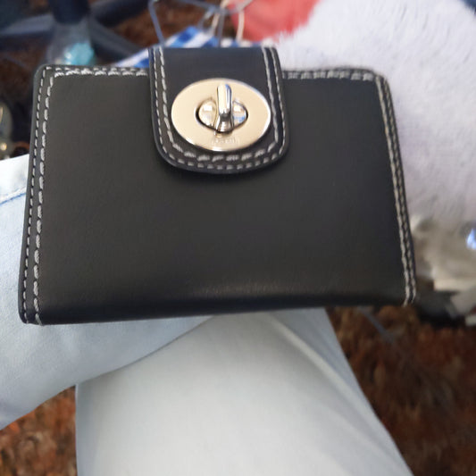 Little Clutch Wallet
