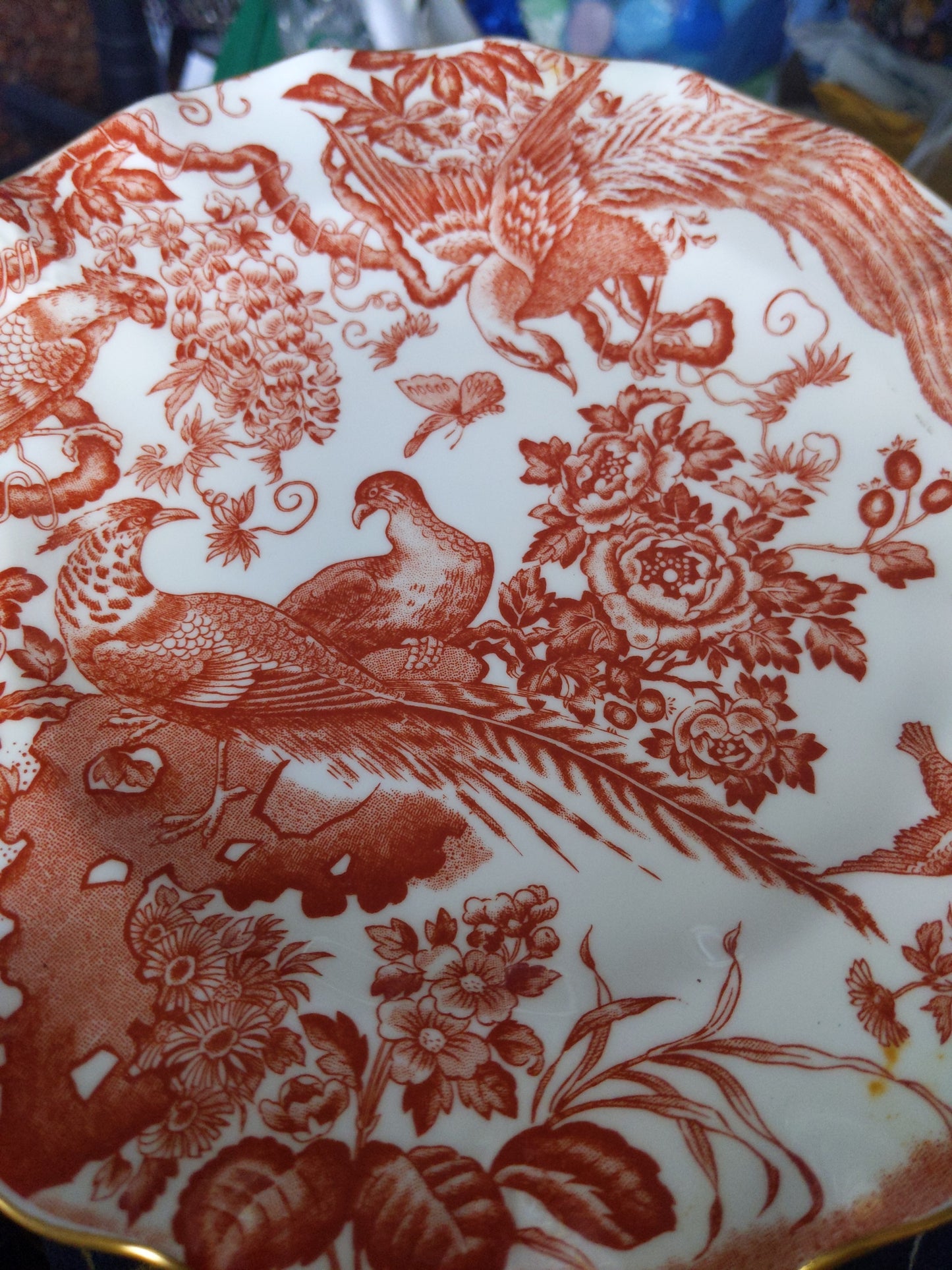 Red Aves Bird Collector Plate