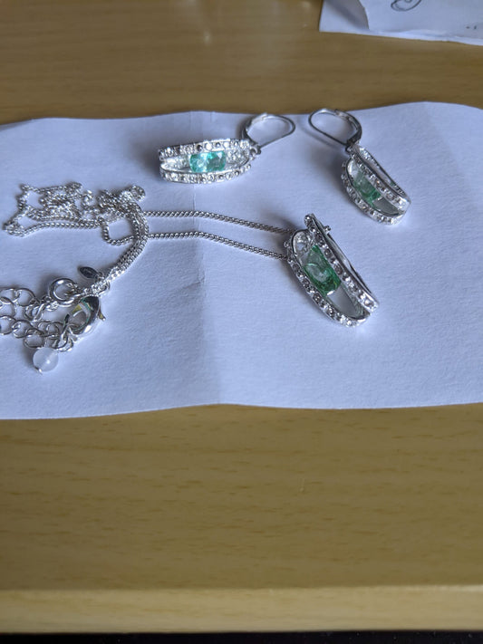 Thin Silvetone Chain with Matching Lever Back Earrings