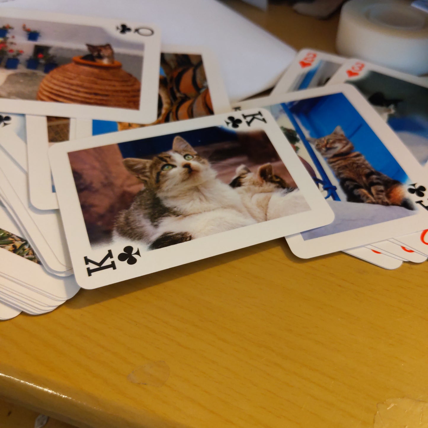 54 Playing Cards of Cats