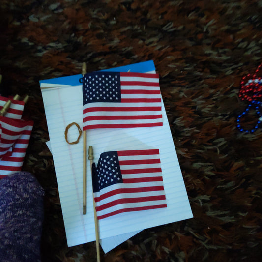 Lots of Small American Flags