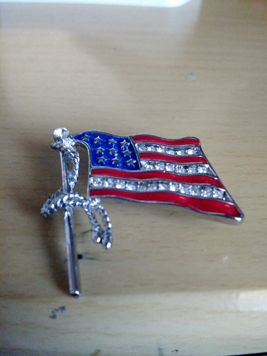Old Fashion Flag Pin