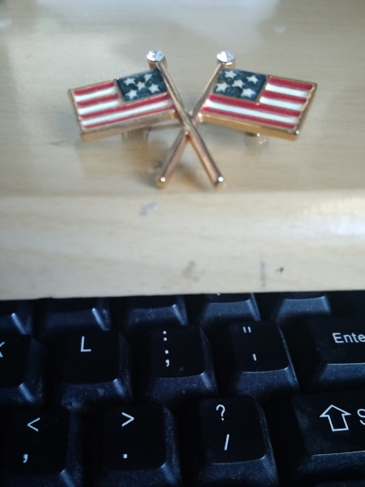 Two Little American Flags