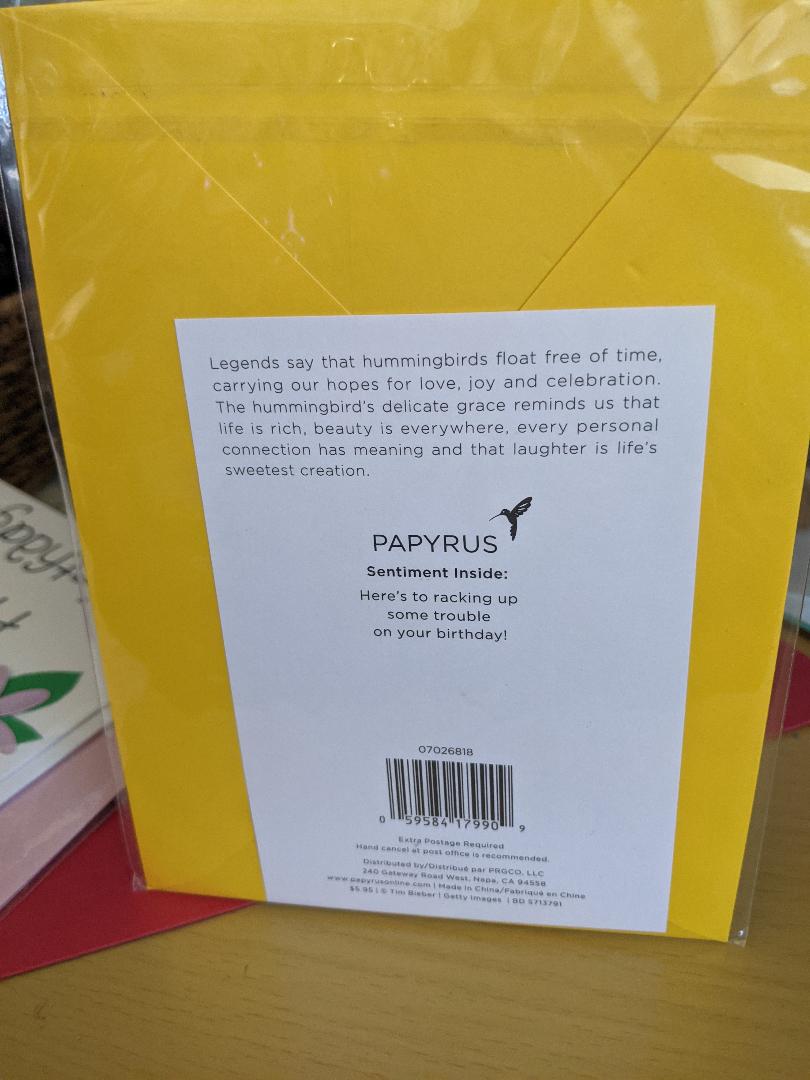 Papyrus Pool Ladies Birthday Card-NEW