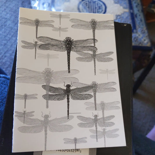 Aria Dragonfly Blank Note Cards and Envelopes