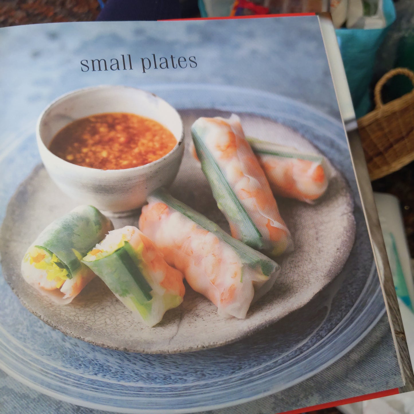Small Plates Recipe Book