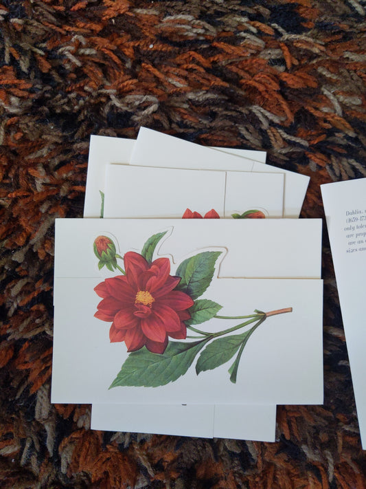 Closerie Fancy Flowers Notecards