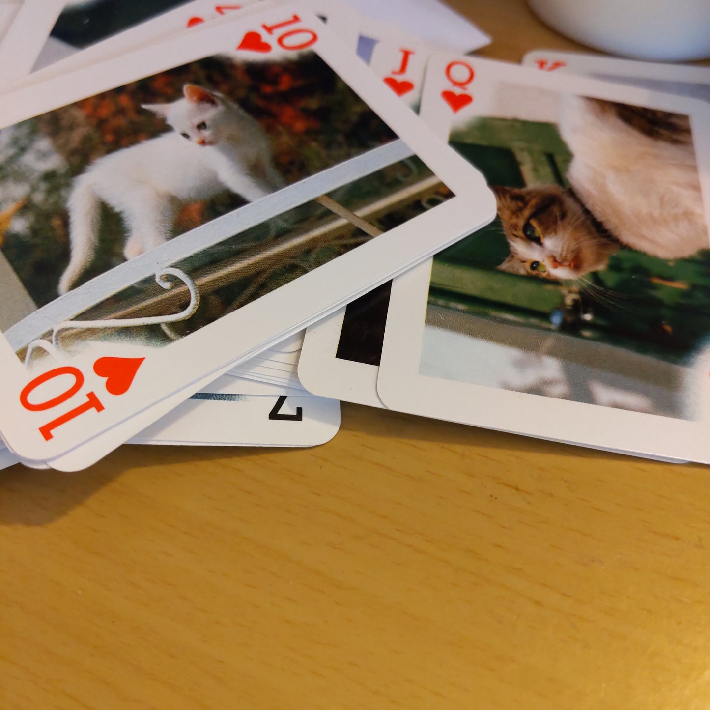 54 Playing Cards of Cats