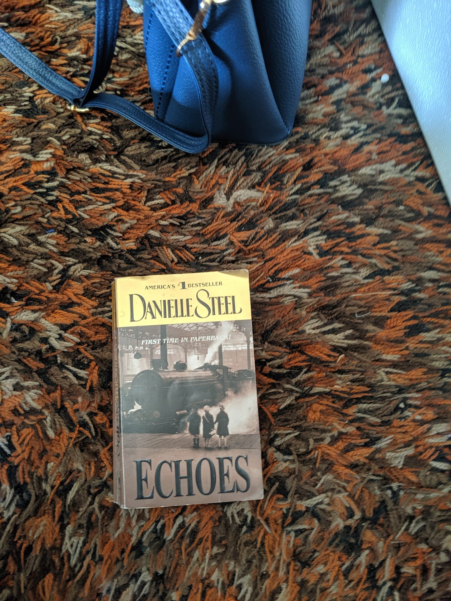 Danielle Steel Echoes Book