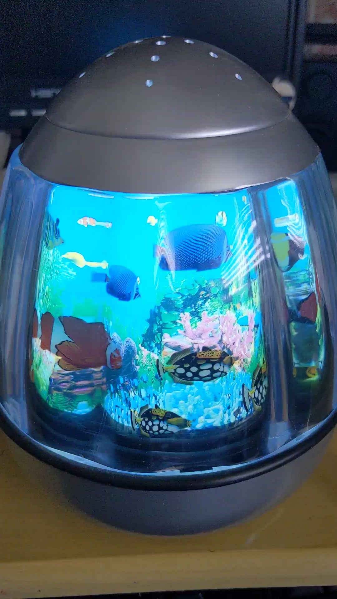 Fish Aquarium Lamp – shaaronusuniquestore